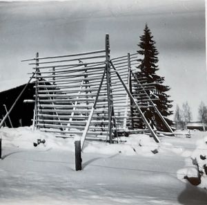 photo672582325835 inner 373 615 574 600 389 818 588