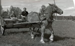 photo672582387310 inner 366 185 691 156 376 381 701