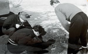 photo672582387310 inner 377 419 714 388 387 619 722