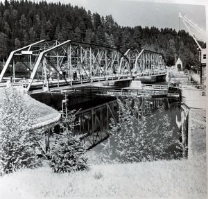 photo672582429829 inner 449 403 707 388 443 642 702