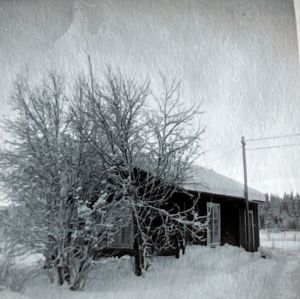 photo672582682313 inner 120 670 294 662 119 845 296