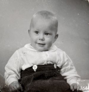 photo672583570600 inner 461 618 690 632 450 843 677