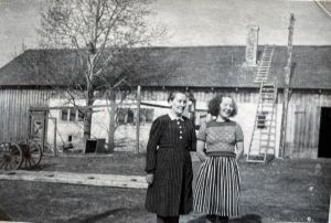 photo672583570602 inner 64 144 594 164 43 902 541