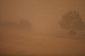 sinai 1975 storm redigera