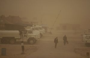 sinai storm cv vakten redigera