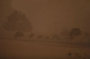 sinai storm redigera