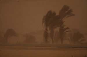 sinai storm2